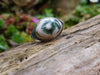 Sterling silver and Ocean Jasper Eye Ring