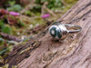 Sterling silver and Ocean Jasper Eye of the Sea Ring